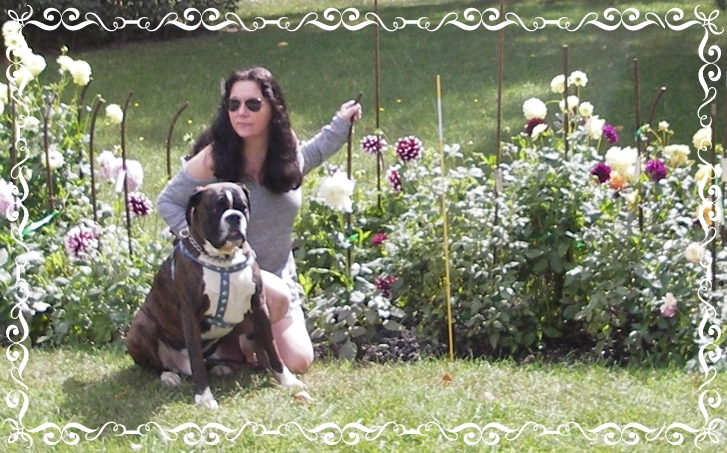 Photo - Me and Ceasar in front of Dahlias