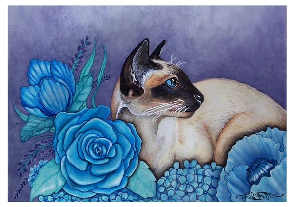 Chocolate Siamese Cat - Prints and companion piece available