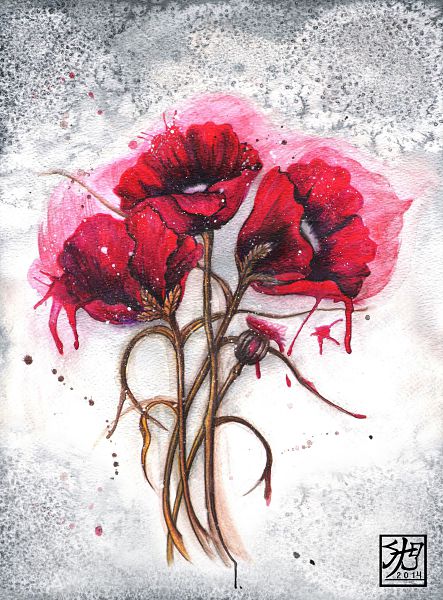 Lisa's Poppies - Prints & Cards Available
